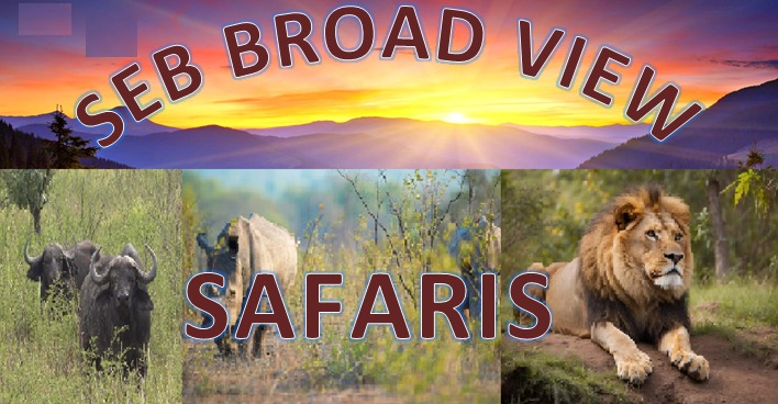 sebbroadviewsafaris.com